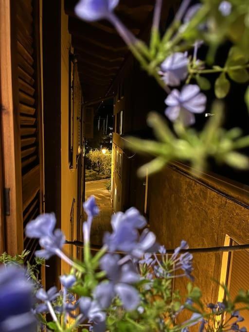 La Piccola Casa Al Lago - Intera Casa Con 3 Camere E 2 Box Saló Exterior foto